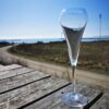 Chef & Sommelier Open Up flute champagneglas – 20 cl.