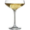 Chef-sommelier-cabernet-champagneskÃ¥l-coupe-cava-mixmeister