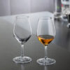 spigelau-krystalglas-perfect-serve-dessert-vin-portvin-faceslebet-mixmeister