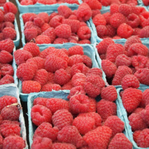 raspberry-mix-fruit-hindbÃ¦r-frugt-purÃ©-monin-mixmeister.dk
