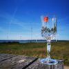 1 RCR Opera Hvidvin 16 cl Glas0492