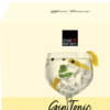 Ginogtonicglas