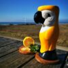 Tiki Parrot 59 cl Gul