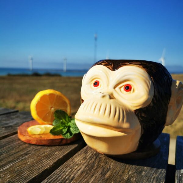 Monkey head 4