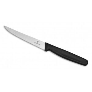 Barkniv Victorinox 21-10cm